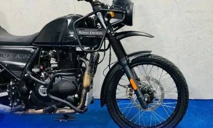 Himalayan