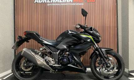 Kawasaki z300