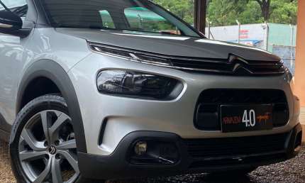 C4 cactus fellini automatico