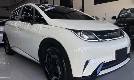 Byd dolphin 2024 44,9 kw elétrico gs