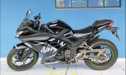 Kawasaki ninja 300 abs gasolina