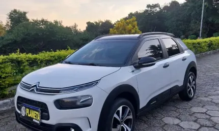 C4 cactus f eel