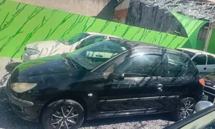 Peugeot 206 2008 1.4 sensation 8v flex 2p manual