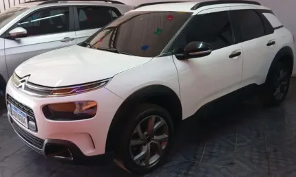 C4 cactus novíssimo 