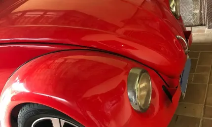 Fusca 1600