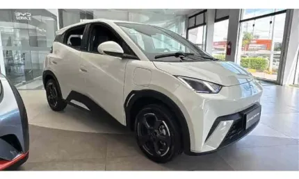 Byd dolphin mini 2026 38 km elétrico