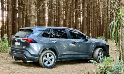 Toyota rav4 s connect hybrid 4x4 2020/2020