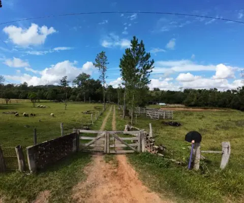 Fazenda à venda na Estrada Dionizio Cardoso de Lima, 9555, Neópolis, Gravataí