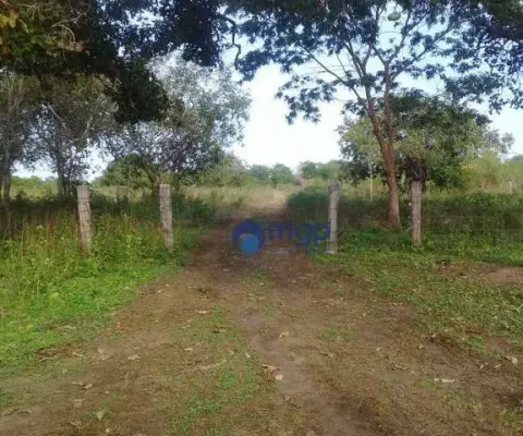 Fazenda à venda em são felix do araguaia - 250 hectares - são felix do araguaia/mt