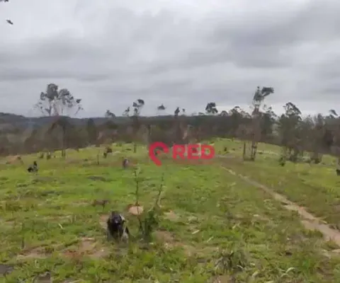 Área à venda, 52000 m² por r$ 3.000.000,00 - zona rural - louveira/sp