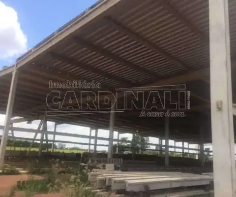 Barracão / Galpão / Depósito para alugar na Rua Olavio Apreia, Setor 7 Área D (Rod. Washington Luiz km 250 CT Pre Moldados), Distrito Industrial, Ibaté