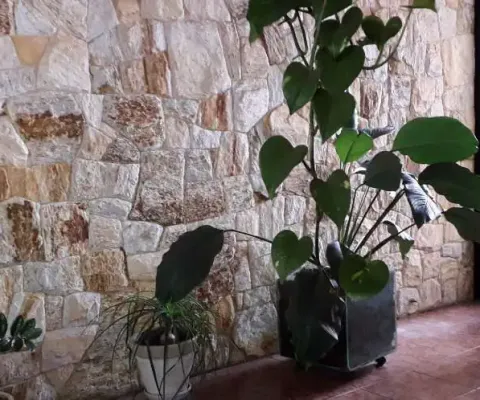 Casa à venda, 3 quartos, 3 suítes, 5 vagas, vila euclides - são bernardo do campo/sp