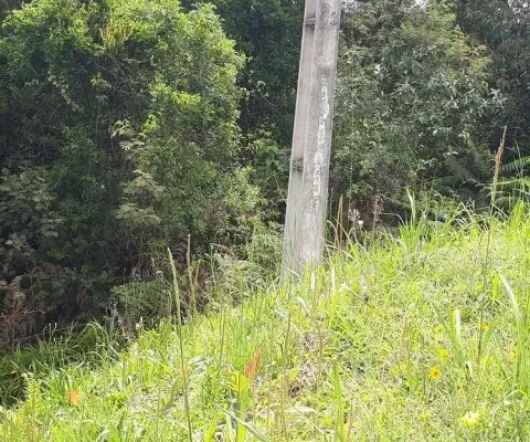 Área industrial com 10.854,33m² , à venda, no bairro contenda em são josé dos pinhais