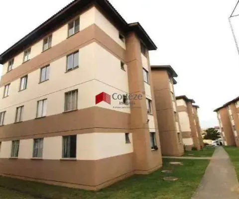 Apartamento com 47,64m² 2 quartos, para aluguel, no bairro colônia rio grande em são josé dos pinhais