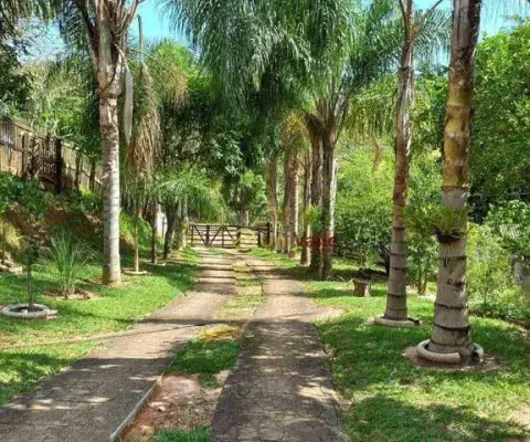 Chácara à venda, 5000 m² por r$ 480.000 - serrinha - taubaté/sp