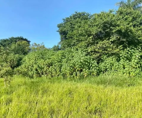 Terreno à venda, 1000 m² por r$ 1.100.000,00 - enseada das garças - belo horizonte/mg