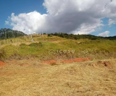Área à venda, 11300 m² por r$ 266.000,00 - serrinha - caçapava/sp