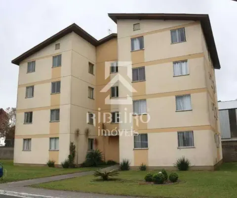 Apartamento com 2 quartos para alugar na Rua José Dolcídio Paris, 70, Iná, São José dos Pinhais