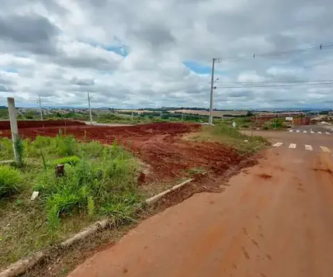 Terreno à venda na Rua Gisele Bernardi Berger, S/N, Cará-cará, Ponta Grossa
