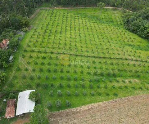 Fazenda à venda no área rural de poços de caldas em poços de caldas/mg