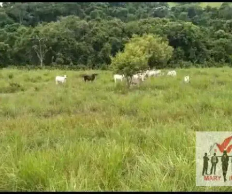 Fazenda à venda no Centro, Campos dos Goytacazes 
