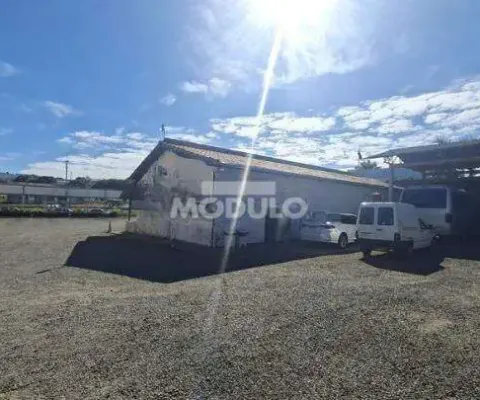 Barracão / Galpão / Depósito para alugar na Avenida Professora Minervina Cândida de Oliveira, --, Osvaldo Rezende, Uberlândia