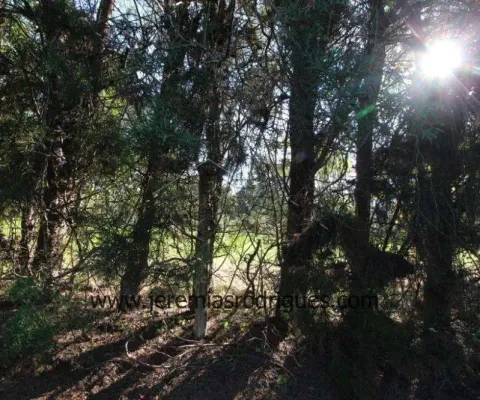 Terreno à venda no Chácaras Cataguá, Taubaté 