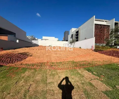 Terreno condomínio fechado à venda, cond. alphaville i - uberlândia/mg - rotina imobiliária