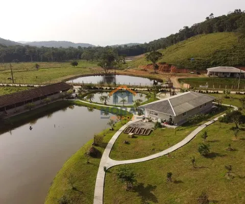 Chácara / sítio com 3 quartos à venda na Área Rural de Paranaguá, Paranaguá 