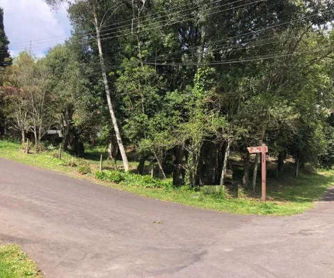 Terreno à venda no bairro ipê amarelo com 1078 m² de área privativa