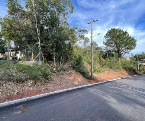 Terreno à venda no bairro vale dos pinheiros com 489 m² de área privativa