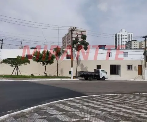 Terreno à venda na Avenida Doutor Ricardo Jafet, Ipiranga, São Paulo