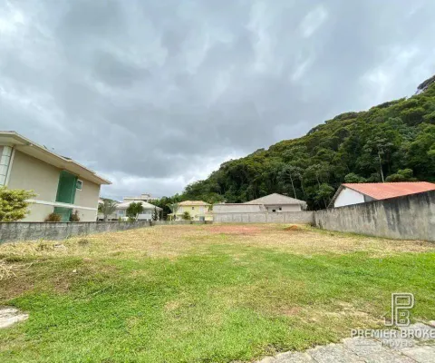 Terreno à venda, 800 m² por r$ 750.000,00 - prata - teresópolis/rj