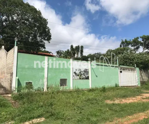 Venda chácara chácaras sambeca-núcleo urbano roseiras divinópolis