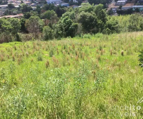 Terreno à venda na Rua José de Oliveira Franco, próximo 1, Chapada, Ponta Grossa