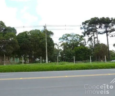 Terreno de 1.342,73m²  rodovia br-376 - bairro piriquitos