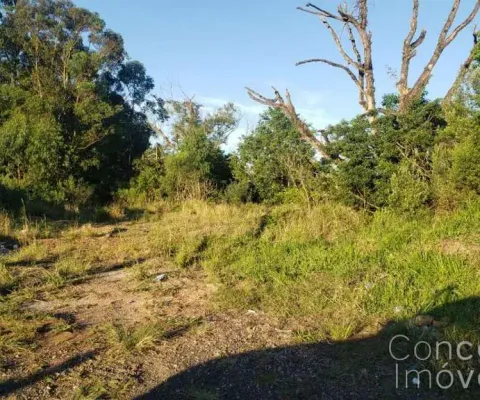 Terreno à venda na Avenida Souza Naves, lado do 38, Chapada, Ponta Grossa