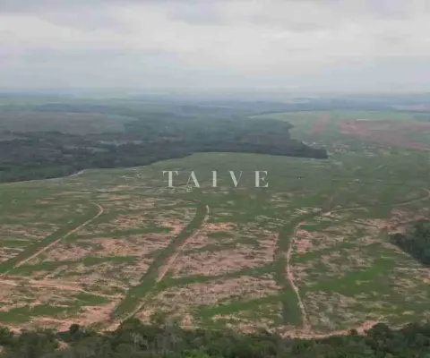 Fazenda 3000 hectares à venda , área plana, casa sede, barracão, poço artesiano, internet e 63 km d