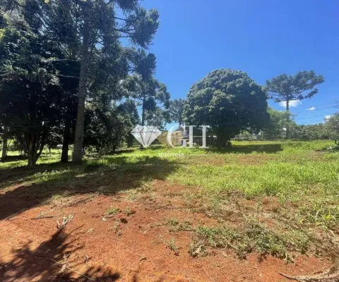 Terreno à venda, 66757 m² por r$ 3.300.000,00 - chapada - ponta grossa/pr