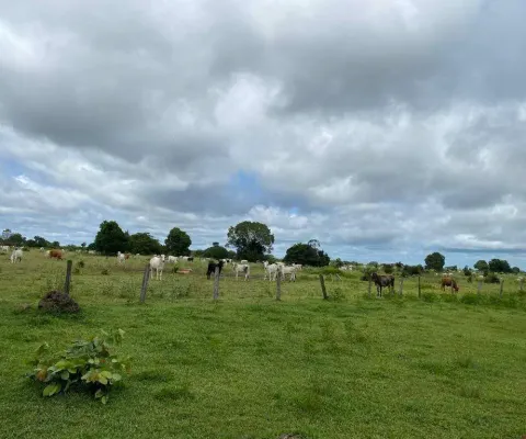 Incrível oportunidade: fazenda de 20.000 hectares em cocalinho - mt - dupla aptidão e infraestrutura completa!