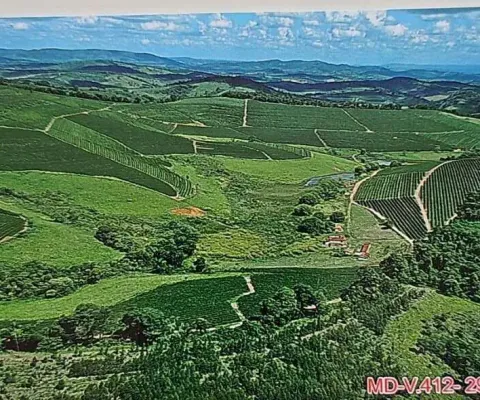 Viva o sonho do café: torne-se dono de uma fazenda de sucesso em santo antônio do amparo-mg