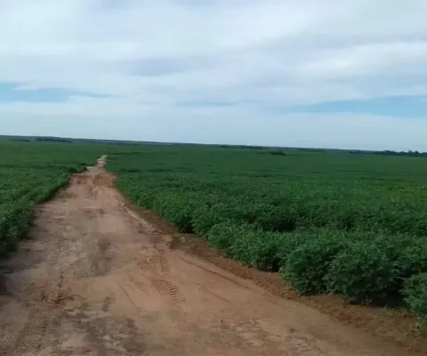 Chácara / sítio à venda na Área Rural entre Canarana e Querência, Zona Rural, Canarana