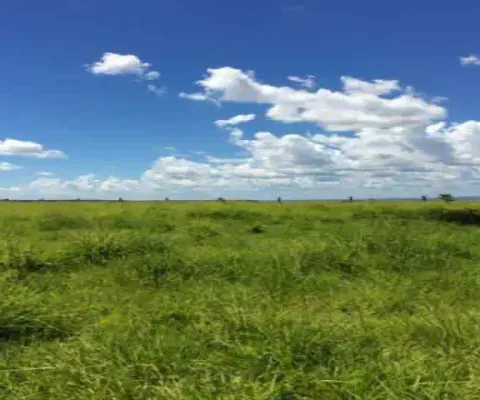 Fazenda à venda, 4 quartos, 1 suíte, centro - barra do garcas/mt