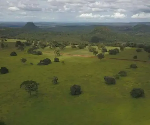Fazenda em pecuária em chapadão do céu - go: ótima oportunidade!
