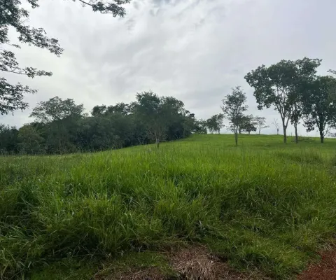 Fazendinha a venda entre araguari e trevo de indianópolis - mg