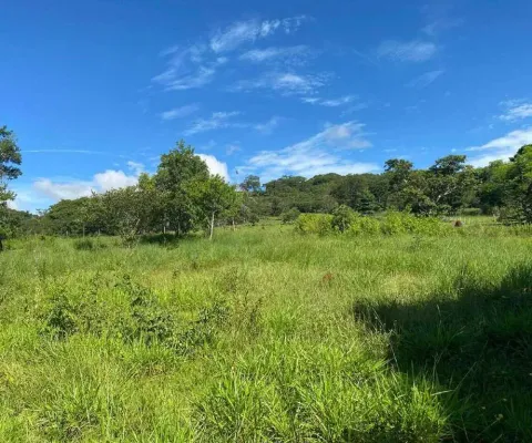 Fazenda à venda, area rural de araguari - araguari/mg