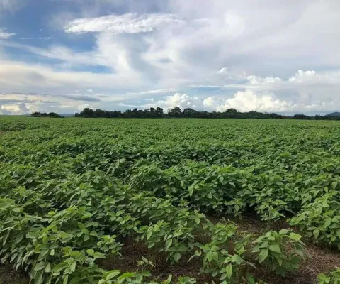 Fazenda à venda, área rural de confresa - confresa/mt
