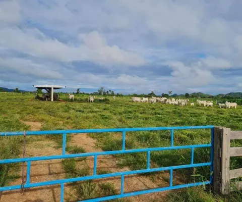 Fazenda à venda, área rural de vila rica - mt - vila rica/mt