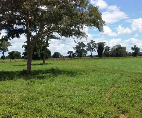 Explore o paraíso rural: fazenda excepcional à venda em cocalinho - mt
