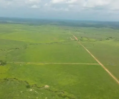 Fazenda à venda, area rural de peixoto de azevedo - mt - peixoto de azevedo/mt